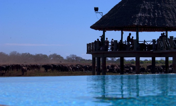 Voi Cabin | Explore Nature at Voi Wildlife Lodge with Pool & Spa