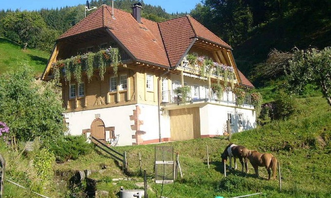 Wolfach - Saint Roman Apartment | Pet-Friendly Vollmershof: Guest Rated 9/10 for Comfort