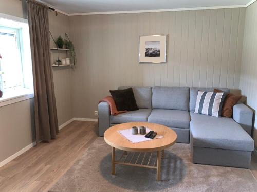 Skulestad Apartment | Voss apartment