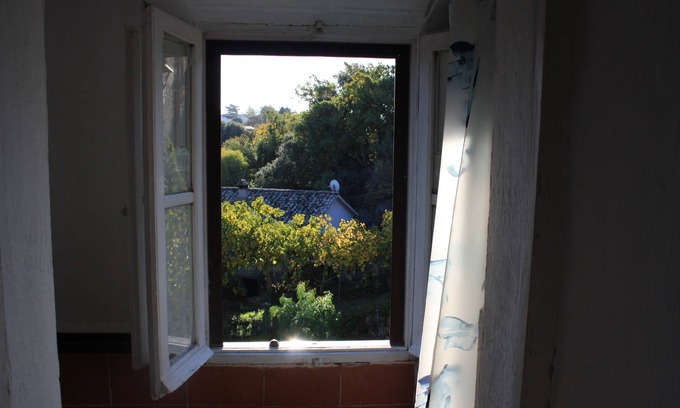Bomarzo Apartment | Pet-Friendly Vrbo Property for Family Getaways