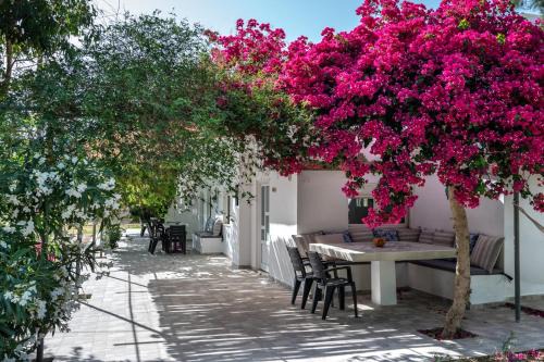 Mariou House | Idyllic Vrisidia Cottage: Nature & Seaview Getaway