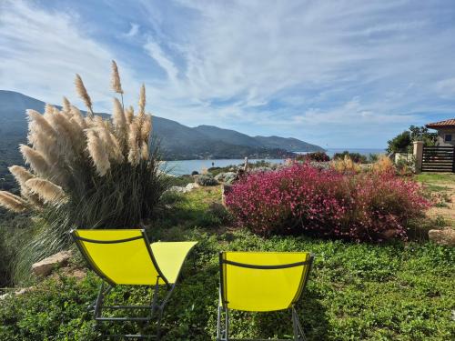 Calcatoggio Apartment | Exceptional Vue de rêve: Rated 9.2 by Our Guests