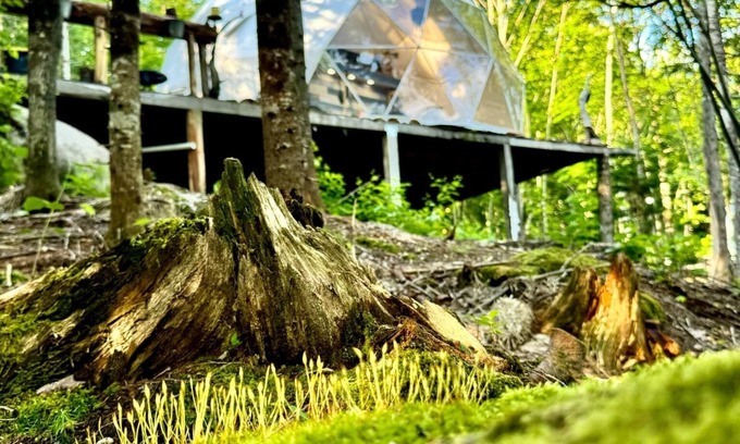 Mauricie Ski Chalet | Indulge in Unique Luxury with Spa & Hot Tub Amenities