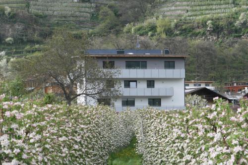 Silandro Apartment | Guest Rated 10/10: Waalhof Ferienwohnung Apfelblüte