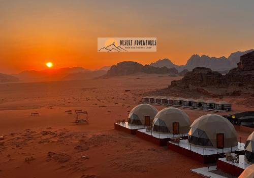 Wadi Rum Resort | Explore Wadi Rum Desert Adventures - Rated 9.5/10 with Family Amenities