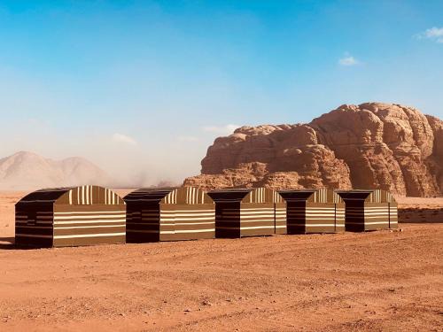 Wadi Rum Other | Discover Wadi Rum Trail: Pet-Friendly & Family Approved!