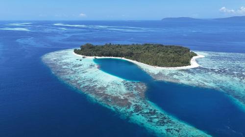 Raja Ampat Resort | Relax at Wai Resort - Raja Ampat with Private Beach Access