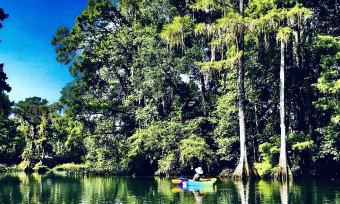 Crawfordville House | Discover Wakulla River Retreat - Manatee Cottage Oasis