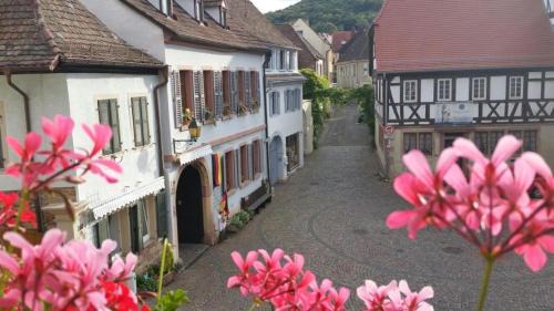 Neustadt-Hambach Apartment | Waldblick: Family-Friendly Retreat with Top Guest Ratings