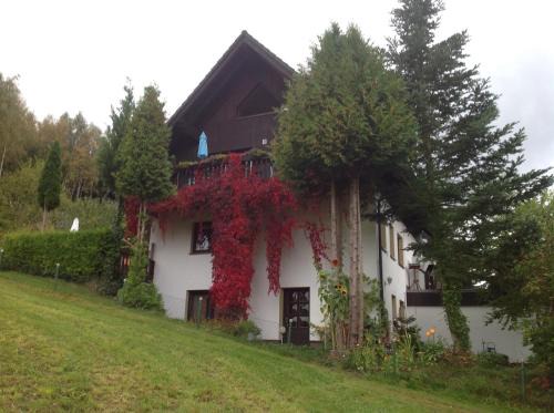 Tannenberg Apartment | Family-Friendly Retreat at Waldblick - Rated 9/10 by Guests