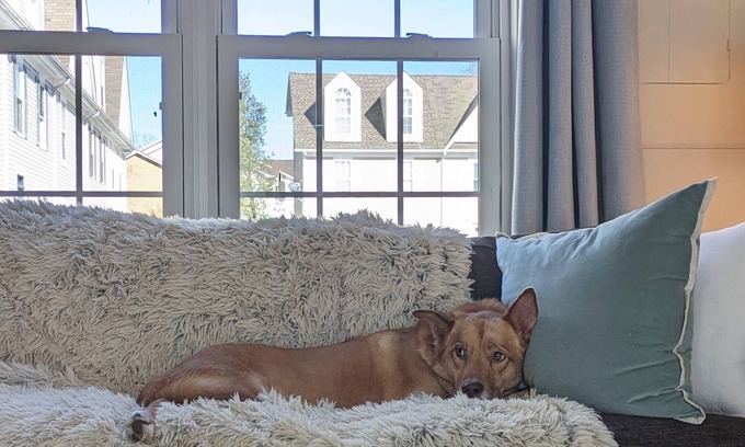 North Beach House | Family and Pet-Friendly Retreat with Beach Passes & Fenced Yard