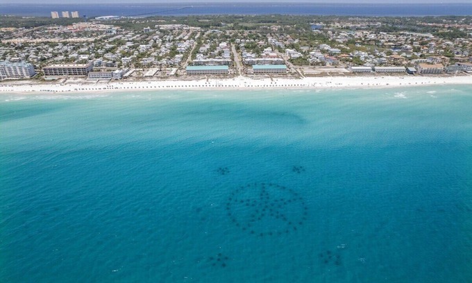 Crystal Beach House | Walk to Beach! Private Pool & Golf Cart Included!