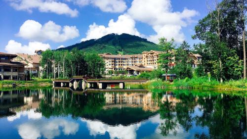 Changbai Mountain West Slope Resort | Discover Wanda Jin Suites Changbaishan - Pet Friendly Paradise