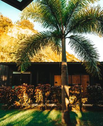 Las Escobas del Venado Hotel | Discover Comfort at Wao Jungle Venao - Pet Friendly Retreat