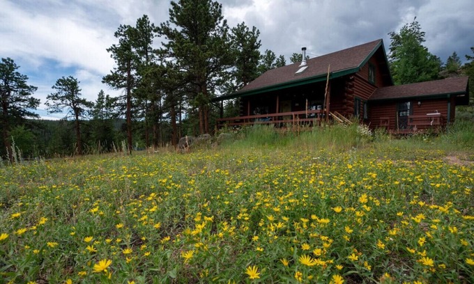 Crystal Lake Cabin | Blissful Woodland Retreat with Family Amenities & Pets Welcome