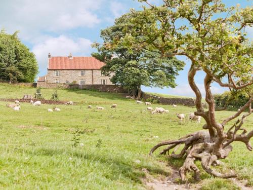Kildale House | Warren Farmhouse: 4-Star, Pet & Child Friendly Retreat