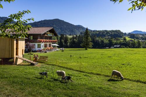 Bischofswiesen House | Wassererlehen: Oceanfront Retreat with Breakfast & Pet Friendly