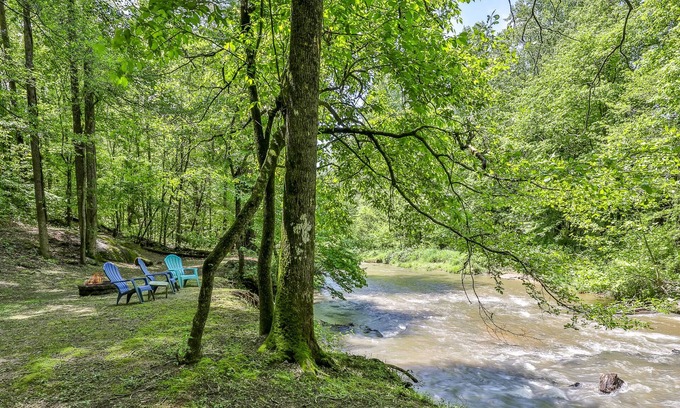 Ellijay Cabin | Experience Water, Wines in the Pines - Pet-Friendly Retreat