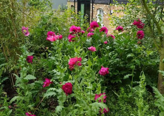 Sittingbourne Apartment | Cozy Watercress Barns: Pet-Friendly & Family-Ready Stay