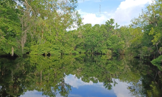 Perry Cottage | Scenic Waterfront Cottage on the Aucilla River - 10/10 Rated