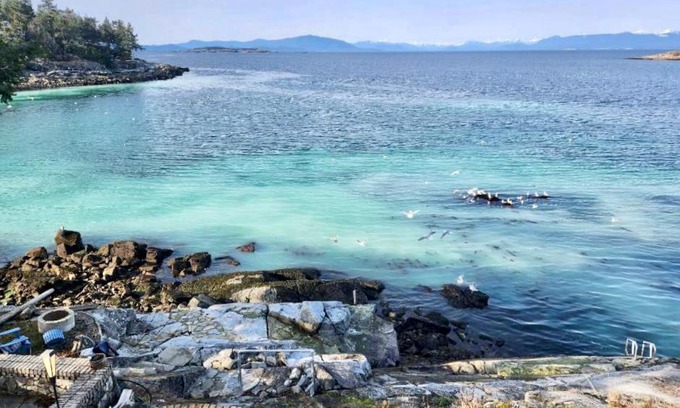 Regional District of Nanaimo House | Family-Friendly Retreat at 停用 李姐 with Great Amenities