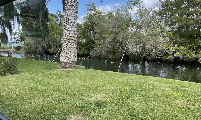 Crystal River House | Serene Waterfront Oasis: Swim with Manatees in Paradise