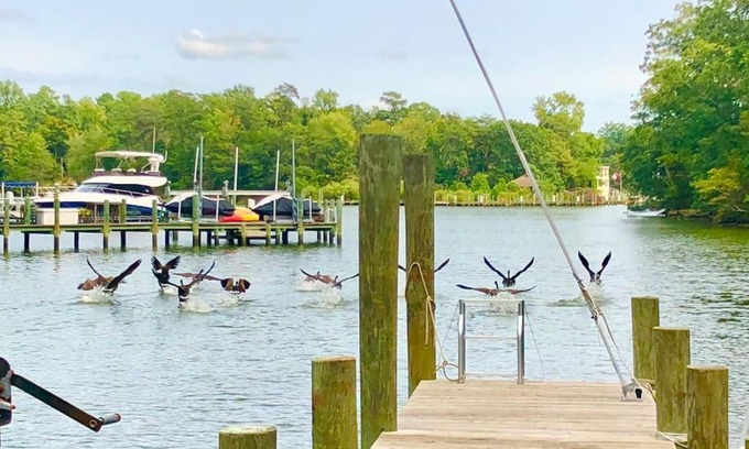 Weems House | Waterfront Home with Boat Dock & Study - Pet Friendly Stay