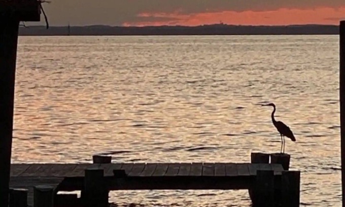 Stevensville House | Beautiful Waterfront Hotel on Kent Island with Ocean View