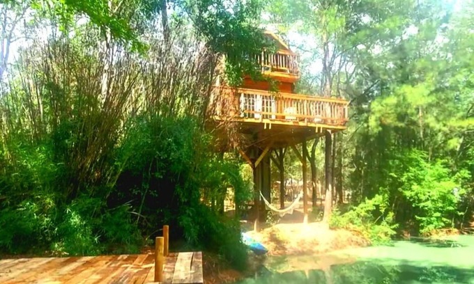 Waller House | Enchanting Waterfront Treehouse in a Magical Forest