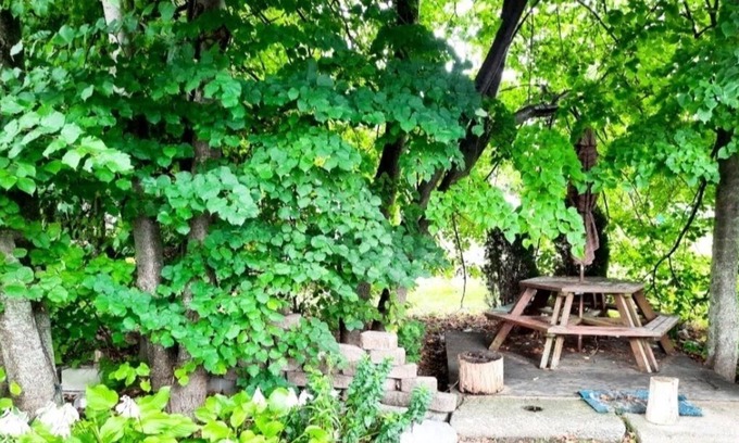 Sherkston Cottage | Relax at Waterviews: Pet-Friendly with Pool Access