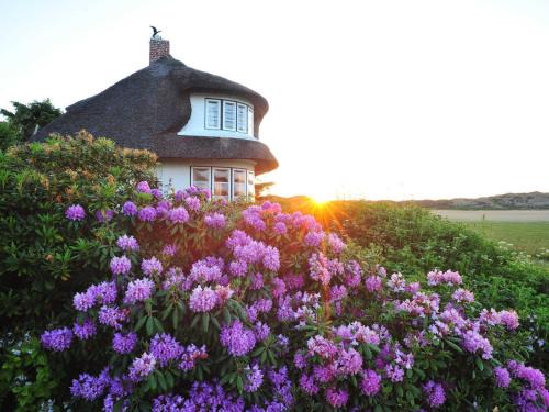 Kampen Villa | Discover Watthüs: Family & Pet-Friendly Getaway