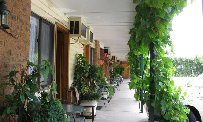 Muswellbrook Hotel | Welcome to Wayfarer Motel: Family-Friendly with Pool & Breakfast