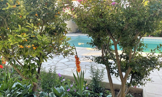 Montaren-et-Saint-Mediers Apartment | Top-Rated Tourist Accommodation with Pool & Ocean Views