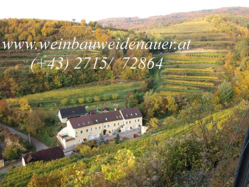 Weissenkirchen in der Wachau House | Discover Weinbau Weidenauer: Family-Friendly Dining Awaits!