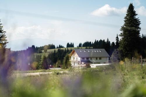 Frantschach-Sankt Gertraud Apartment | Weinebene Apart