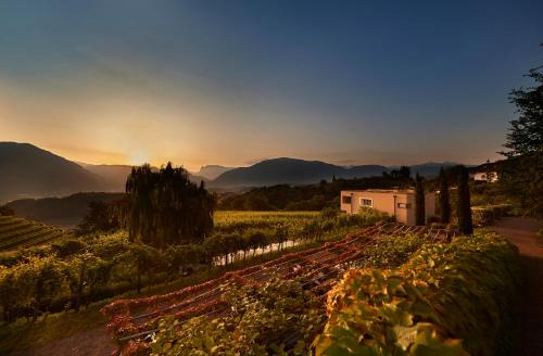 St. Pauls Apartment | Discover Weingut Stuck: Pet-Friendly Oceanfront Oasis