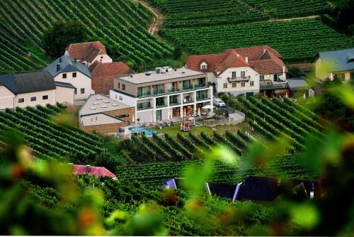 Spitz House | Discover Weingut Donabaum "In der Spitz" with Ocean Views