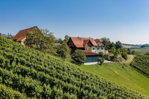 Glanz an der Weinstrasse Bed & Breakfast | Discover Weingut Juritsch: Family-Friendly Getaway Awaits