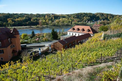 Meissen Apartment | Pet-Friendly Retreat at Weingut Martin Schwarz - Rated 8.9