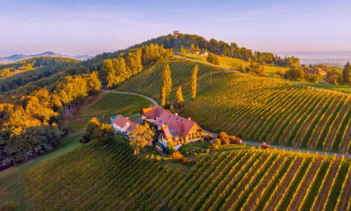 Eichberg-Trautenburg Hotel | Charming Weingut Winzerzimmer Rothschädl: Rated 9/10 Stay