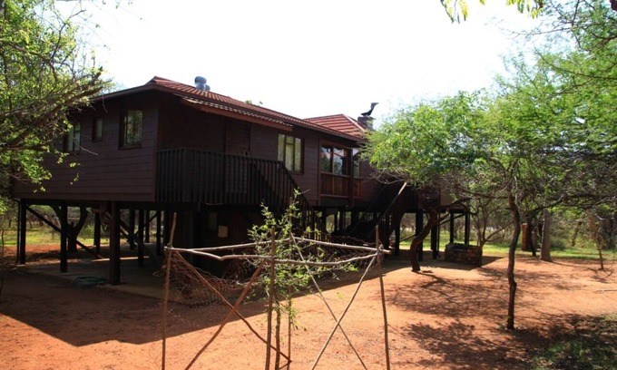 Marloth Park House | Experience Incredible Wildlife Moments at Our Hotel