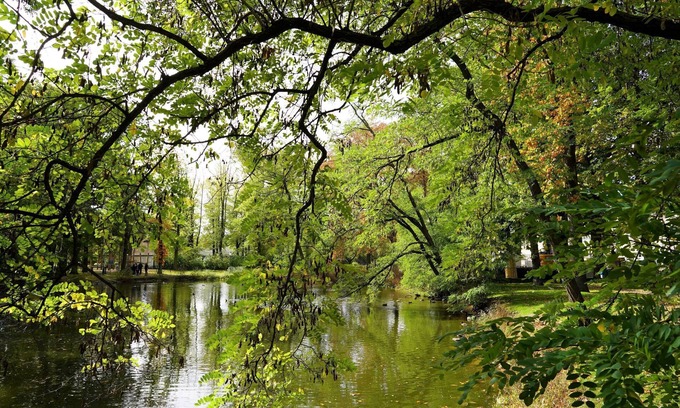 Schoenefeld Apartment | Discover Fly Inn Apartment Berlin: Family-Friendly Retreat
