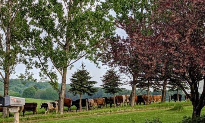 Laurens Apartment | Discover The Bull-Pen: Guest Rated 9.8 with Breakfast