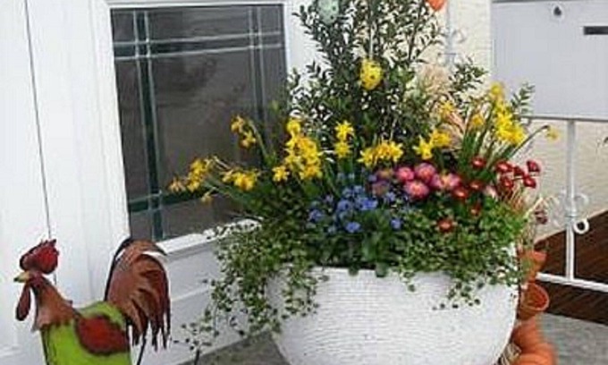 Valwig Apartment | Discover Pure Relaxation at Haus Kotthoff - Guest Rated 10/10