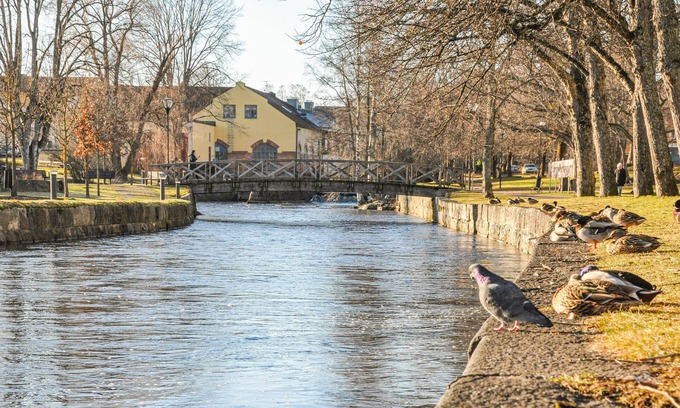Filipstad House | Experience Comfort in Our Pet-Friendly Lake View Retreat