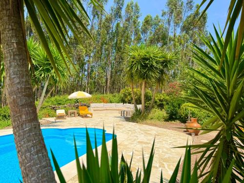 Alvaiazere Bed & Breakfast | Exceptional Wellness Retreat at Casa é Connosco