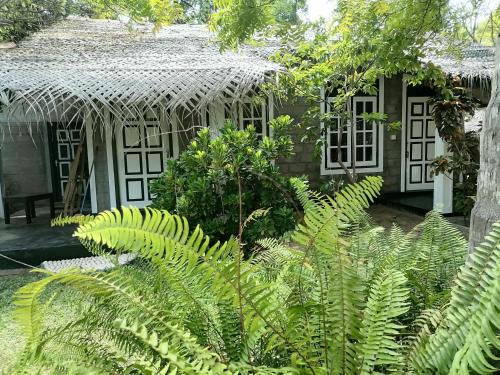 Kandakuliya Bed & Breakfast | Experience Werala Beach Resort: Oceanfront Bliss Awaits