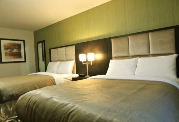 Carlyle Hotel | Explore Western Star Inn and Suites Carlyle: Pet Friendly Stay