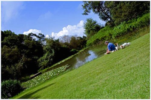 Zenzani House | Cozy Westfield Farm: Pet & Child Friendly Retreat