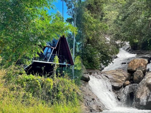 Vayittiri Resort | Discover Wetlands Wayanad Resort with Scenic Waterfalls